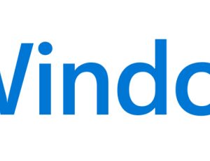 MS WINDOWS 11 PRO 64B DSP