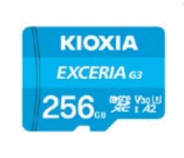 MICROSD KIOXIA EXCERIA G3 256GB