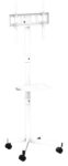 SOPORTE SUELO TV GEMBIRD TVS-55T-03-W 32"-55" BLANCO